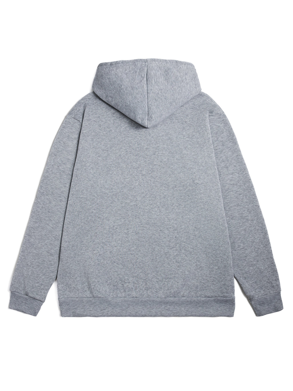 Hooded Sweatshirt, Casual, Dinosaur